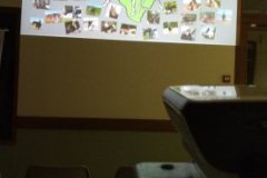 IMG_20231124_191353