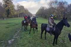 IMG-20231119-WA0014
