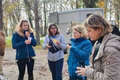IMG-20231119-WA0026