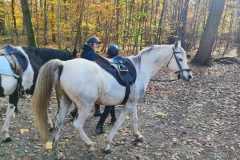 IMG-20231119-WA0027