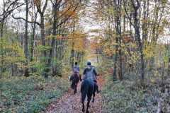 IMG-20231119-WA0032