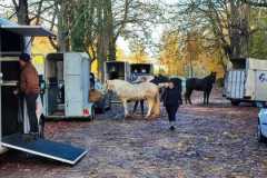 IMG-20231119-WA0083