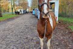 IMG-20231119-WA0172