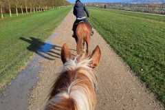 IMG-20231119-WA0174