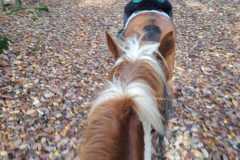 IMG-20231119-WA0179