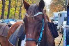 IMG-20231119-WA0193
