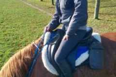 IMG-20231119-WA0194