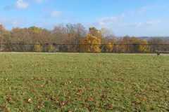 IMG-20231119-WA0195