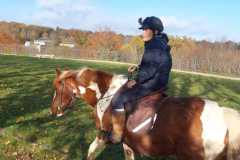 IMG-20231119-WA0196