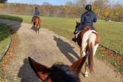 IMG-20231119-WA0197