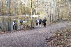 IMG_20231119_141925