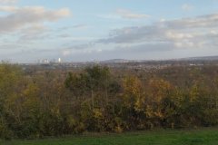 IMG_20231119_162108