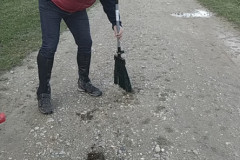 PANO_20231119_162839