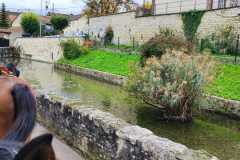 IMG-20231028-WA0034