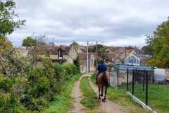 IMG-20231028-WA0038