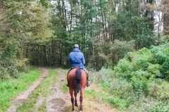 IMG-20231028-WA0040