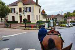 IMG-20231028-WA0050
