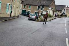 IMG-20231028-WA0051