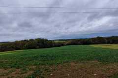 IMG-20231028-WA0058