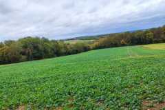 IMG-20231028-WA0059
