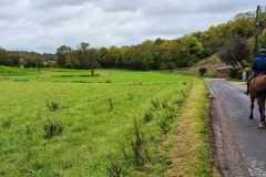 IMG-20231028-WA0063