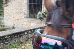 IMG-20231028-WA0070
