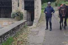 IMG-20231028-WA00711
