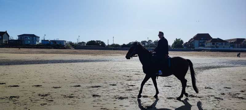 IMG-20231008-WA0071