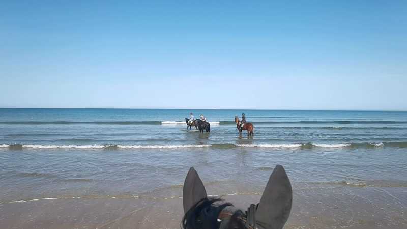 IMG-20231008-WA0141