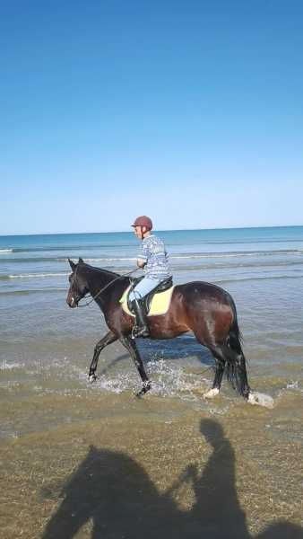 IMG-20231008-WA0148