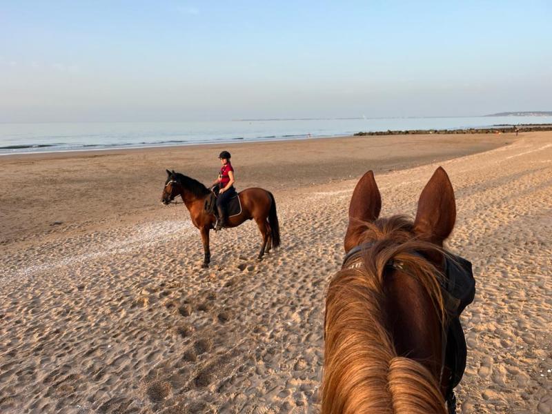 IMG-20231008-WA0165