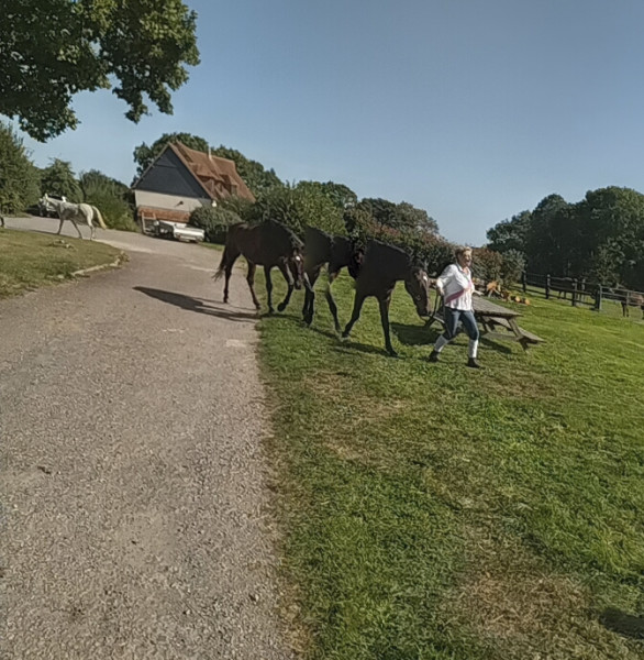 PANO_20231008_132041