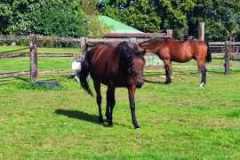 IMG-20231007-WA0043