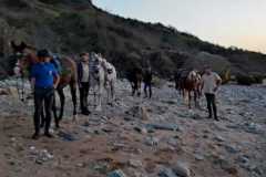 IMG-20231007-WA0053