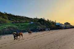 IMG-20231007-WA0060