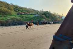 IMG-20231007-WA0061