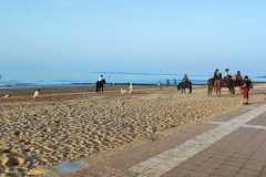 IMG-20231007-WA0070