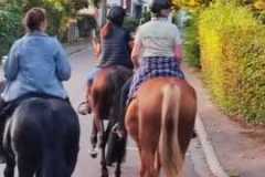 IMG-20231007-WA0073