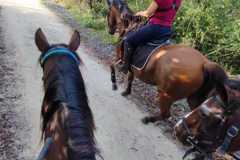 IMG-20231007-WA0095
