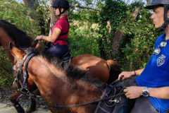 IMG-20231007-WA0097
