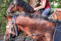 IMG-20231007-WA0098