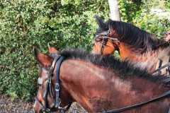 IMG-20231007-WA0100