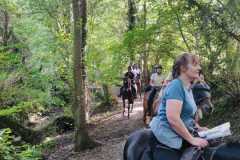 IMG-20231007-WA0103