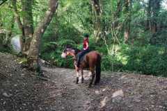 IMG-20231007-WA0104