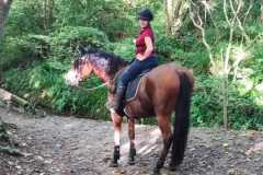 IMG-20231007-WA0105