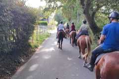 IMG-20231007-WA0109