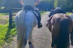 IMG-20231007-WA0117