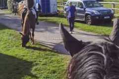 IMG-20231008-WA0003