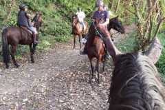 IMG-20231008-WA0017