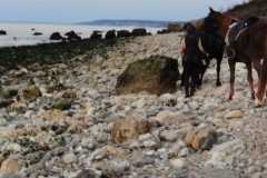 IMG-20231008-WA0021